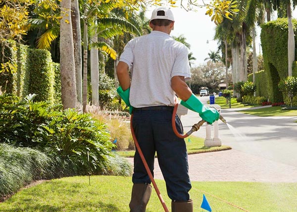 About De Soto KS Pest Control